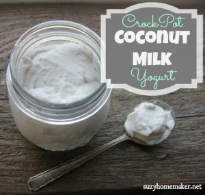 Crockpot yogurt coconut milk