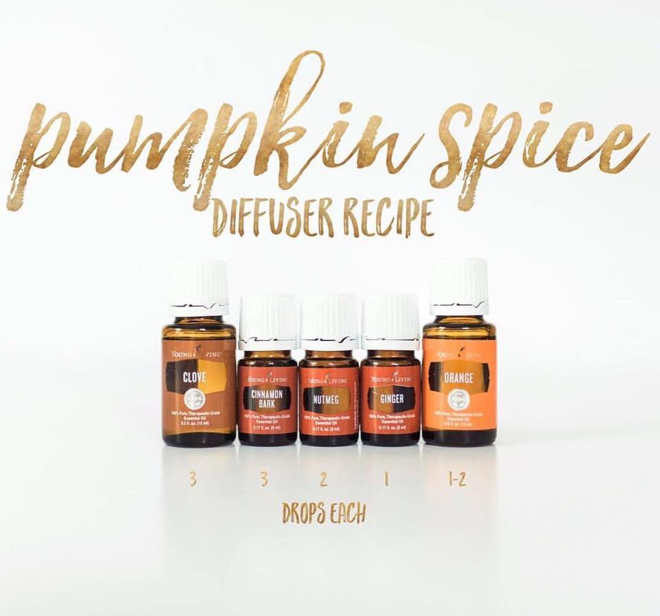 pumpkin spice diffuser blend