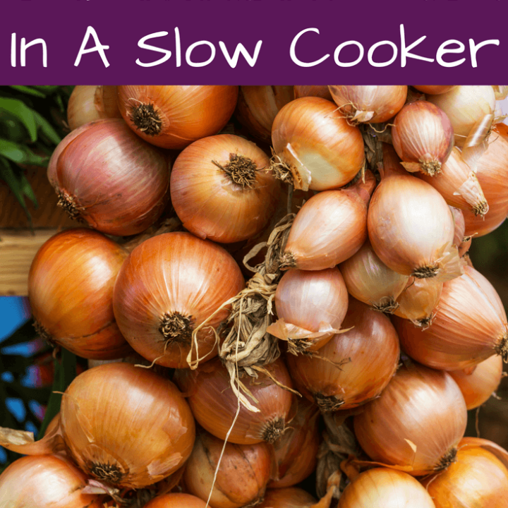How to Make Caramelized Onions in a Slow Cooker - A Real Food Journey