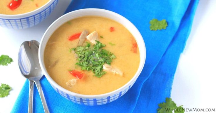 Low Carb Thai Chicken Soup--{family "go-to" recipe}
